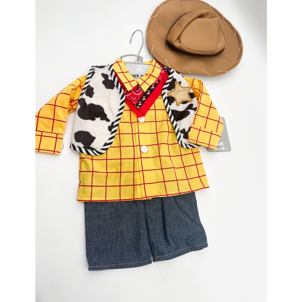 Disney Woody costume